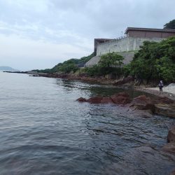 ロックフイッシュ&シーバス