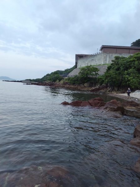 ロックフイッシュ&シーバス