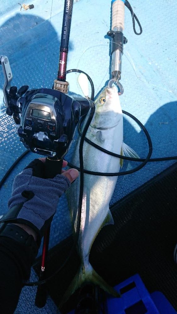 新タックルに鱗付け