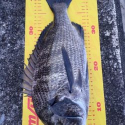 ポッパー楽しッ＼(^^)／