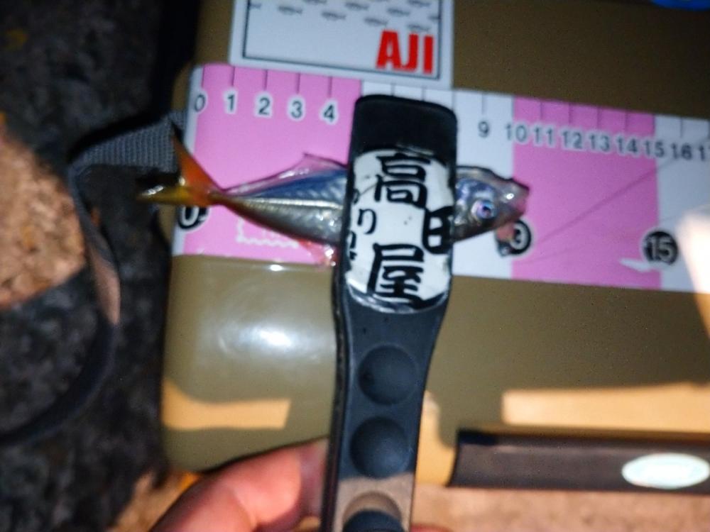 悶絶豆アジング