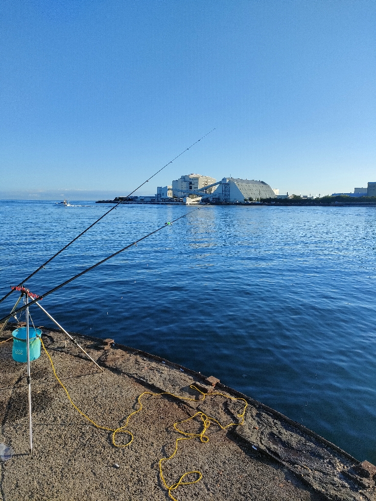 サビキとタコエギ