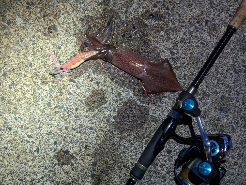 これからに期待