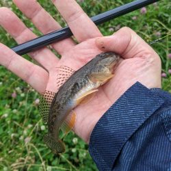 旧中川 ハゼ 2023初日