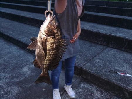 チヌは優しいね