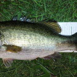 やっと出会えた