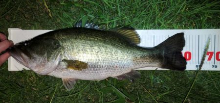 やっと出会えた