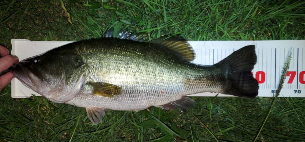 やっと出会えた