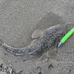 1キャッチ2バラし…。