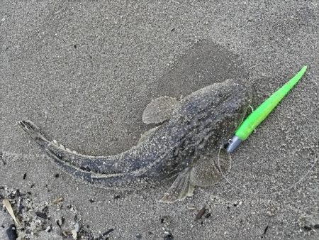 1キャッチ2バラし…。