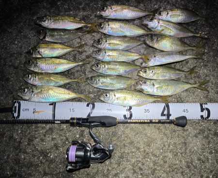 久しぶりアジング