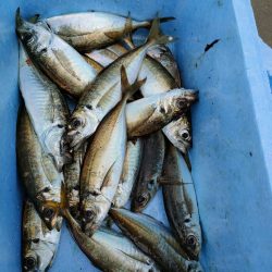 王道のパターン