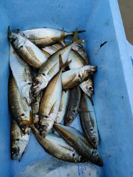 王道のパターン