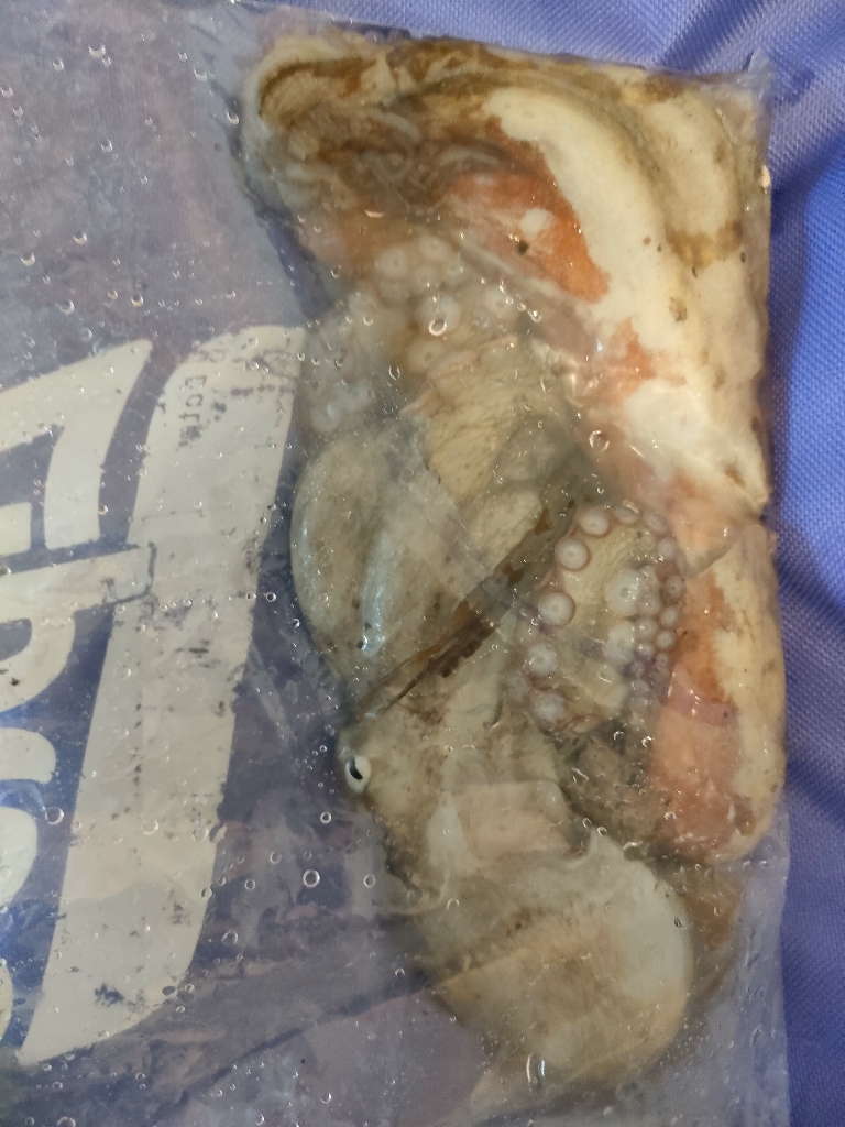 今日はタコの唐揚げ