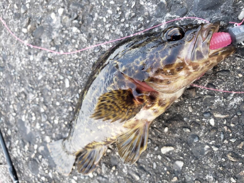 釣り散歩