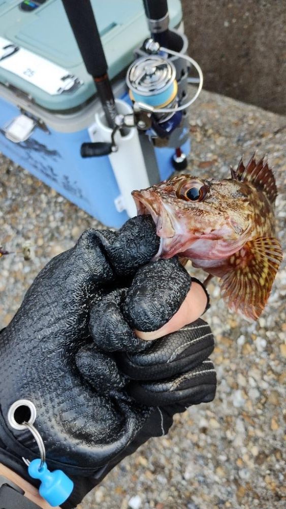 キャッチンググローブ