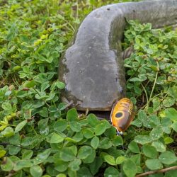 昼と夜の釣り方の違い