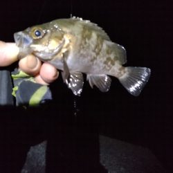 いい感じなのに