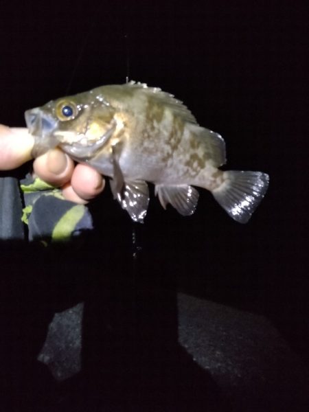 いい感じなのに