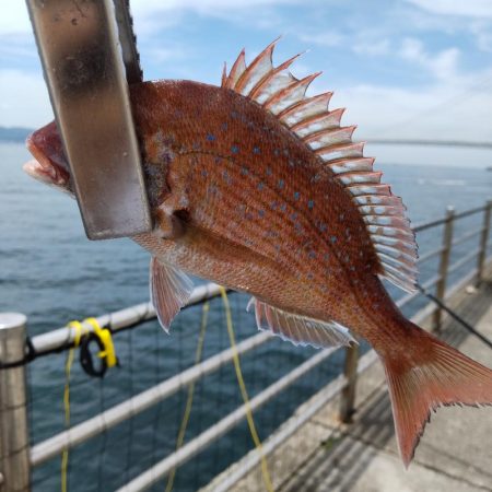 アジュール温泉裏