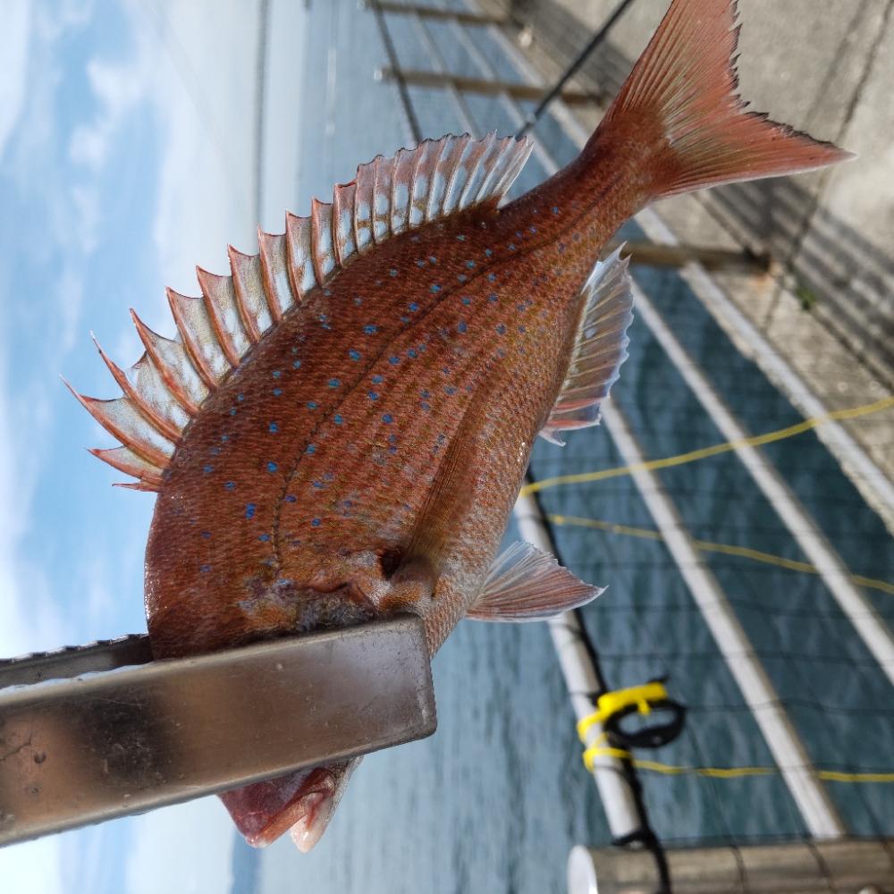 アジュール温泉裏