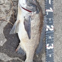 久しぶりの好反応