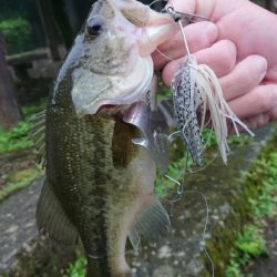 放流翌日の爆風