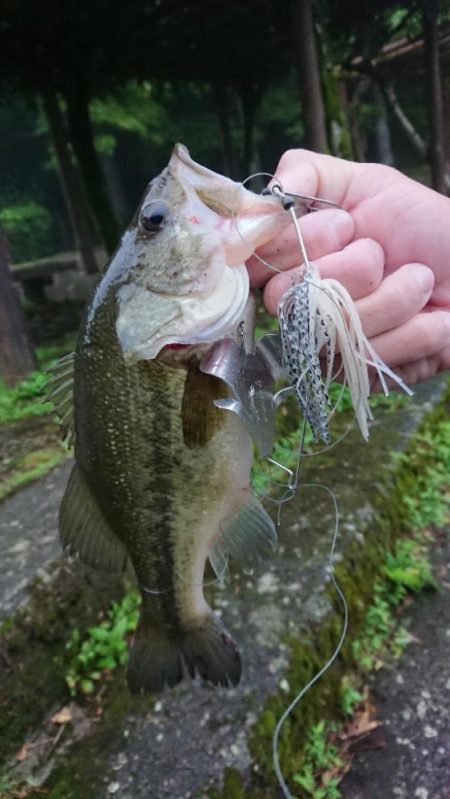 放流翌日の爆風