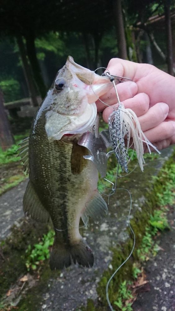 放流翌日の爆風