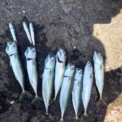 バースデーフィッシング