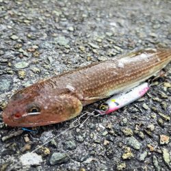 困ったときのこいつ