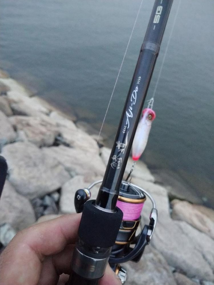 短時間チヌトップ