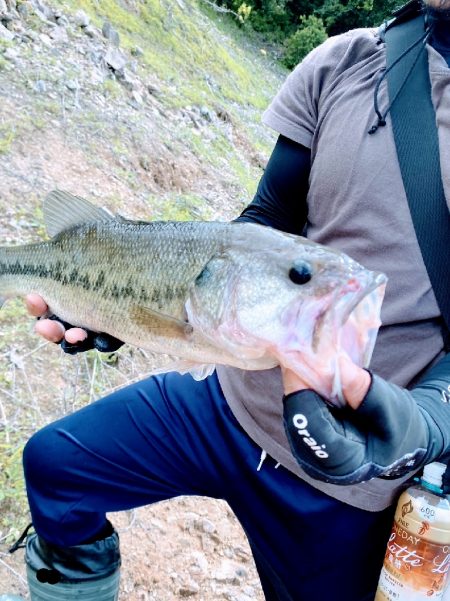 一庫ダム初バスゲット