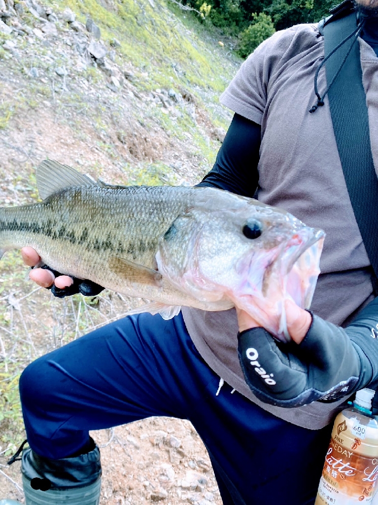 一庫ダム初バスゲット