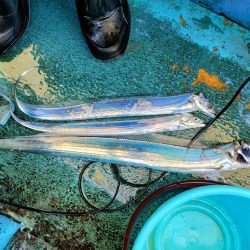 今年初の刀狩り