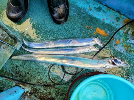 今年初の刀狩り