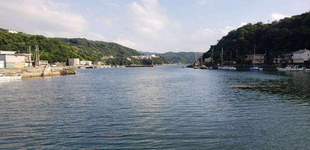 アジ探し@下津周辺