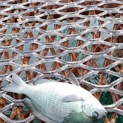 フカセ練習中、初ミニグレGET♪