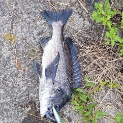 トップチニング