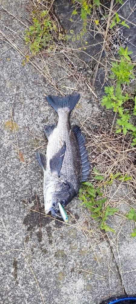 トップチニング