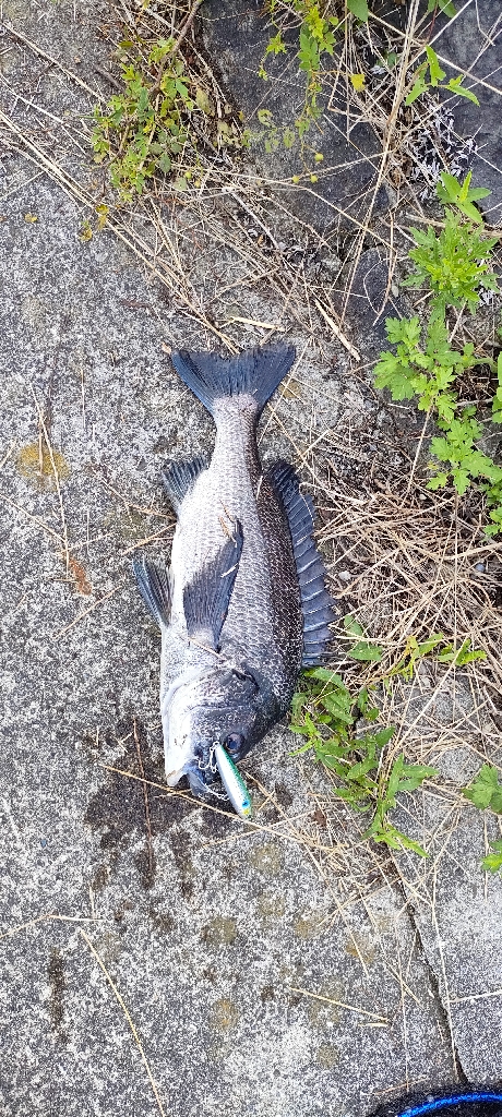 トップチニング