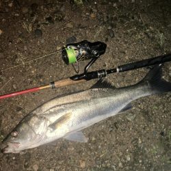 雷鳴で短時間強制終了でしたが