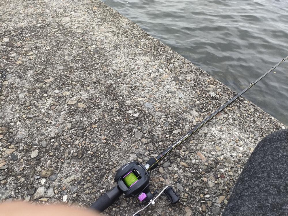 またまた岸和田一文字☆