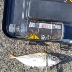 武庫川一文字２連戦