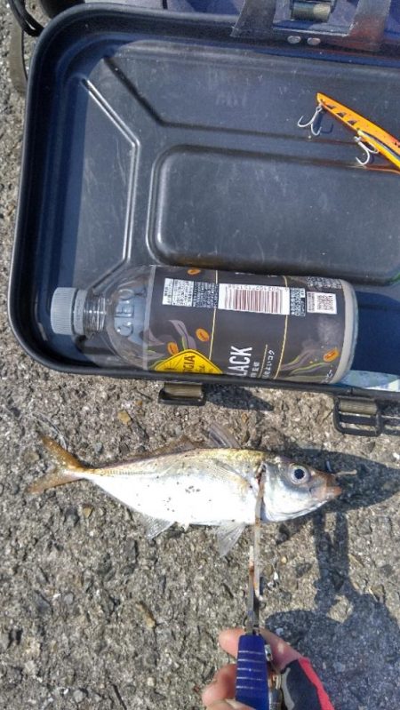 武庫川一文字２連戦