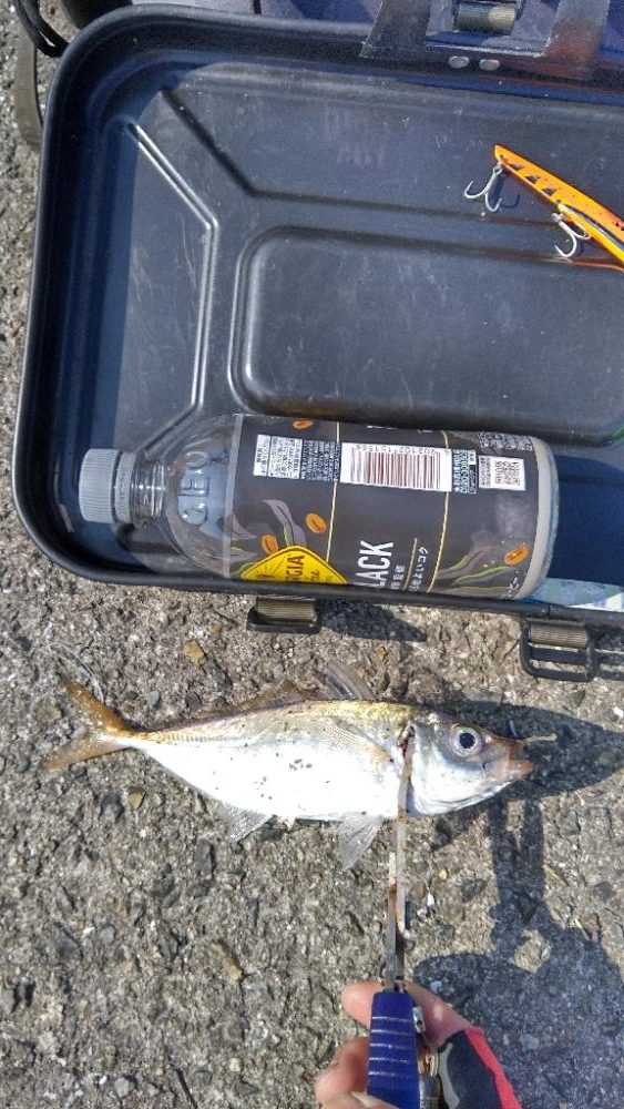 武庫川一文字2連戦