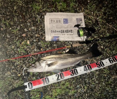 ががっときました。