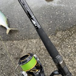 今年やっと初青物onテトラ