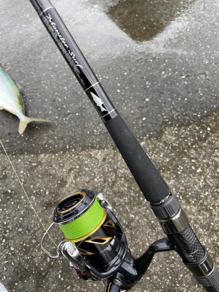 今年やっと初青物onテトラ