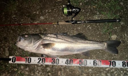 すごいたいこうの70アップきました。